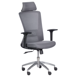 Ергономичен стол Carmen 7542 - сив